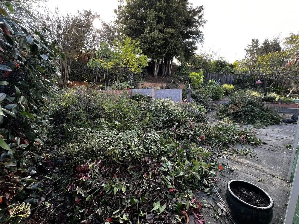 Affordable landscape installation in Hayward, CA by Rosales Landscaping Services