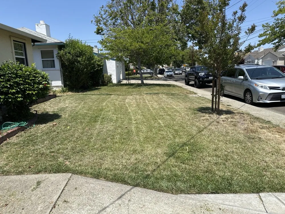 Top-rated landscaping services experts serving Hayward, CA - Rosales Landscaping Services