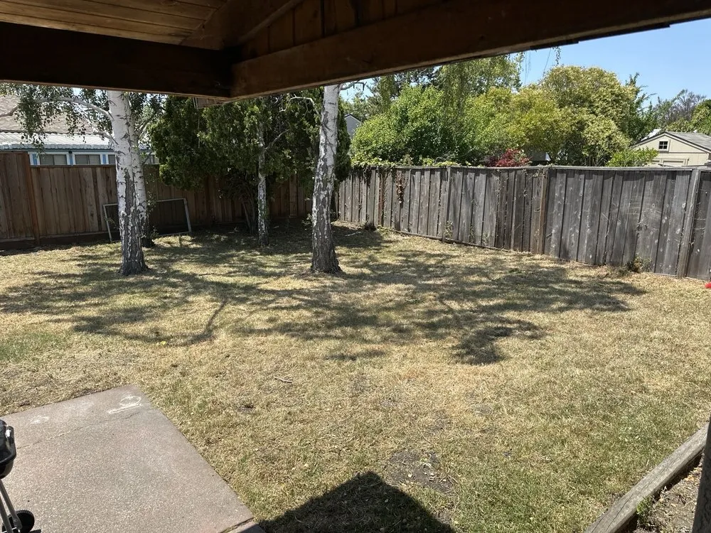 Expert landscape design in Hayward, CA - Rosales Landscaping Services