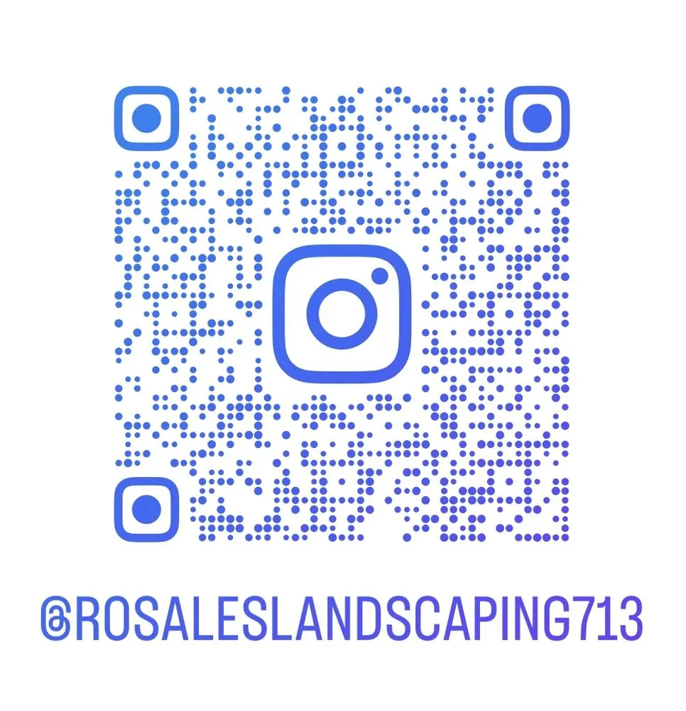 Reliable yard maintenance experts serving Houston, TX - Rosales Landscaping Services