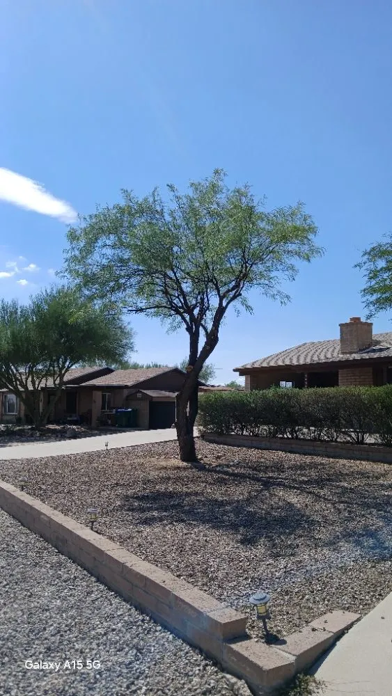 Reliable lawn care service with custom design in Tucson, AZ by Rosales Landscaping