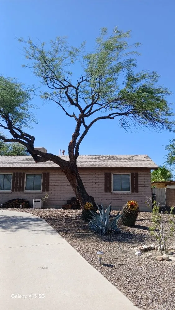 Trusted landscaping services with custom design in Tucson, AZ by Rosales Landscaping