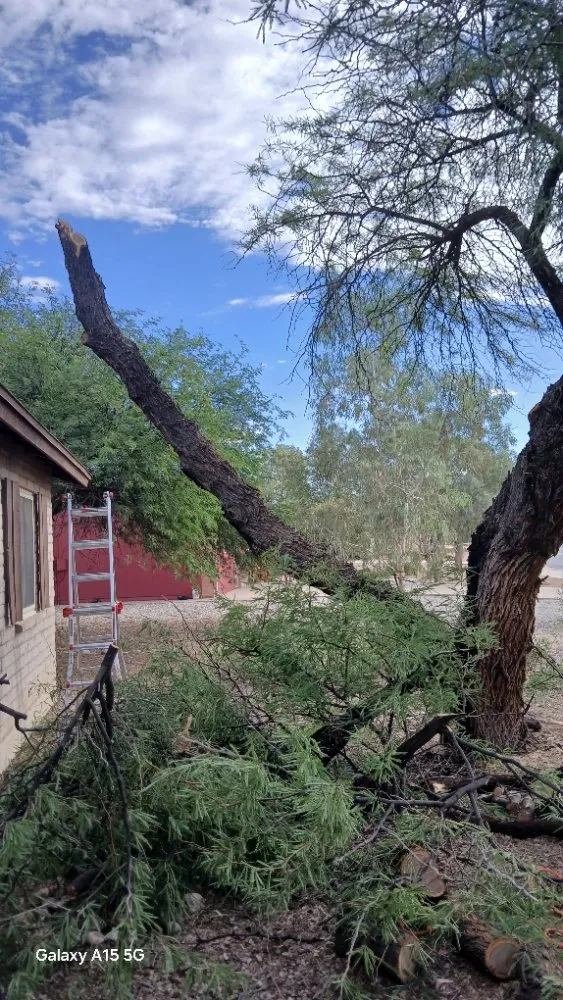 Expert yard maintenance with custom design in Tucson, AZ by Rosales Landscaping