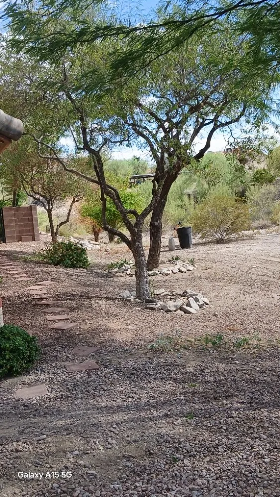 Top-rated lawn mowing service in Tucson, AZ - Rosales Landscaping