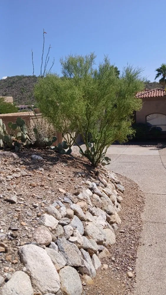 Top-rated residential landscaping near you across Tucson, AZ - Rosales Landscaping
