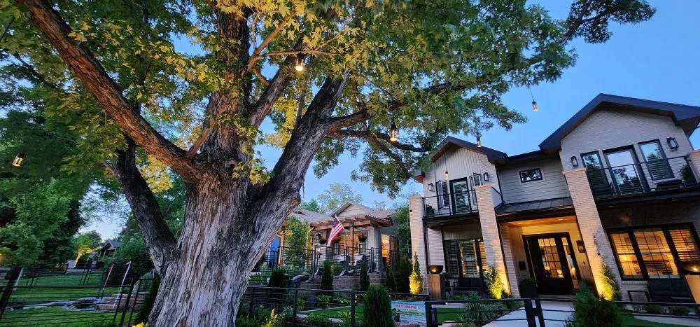 Reliable yard cleanup service in Westminster, CO by Rosales Landscaping