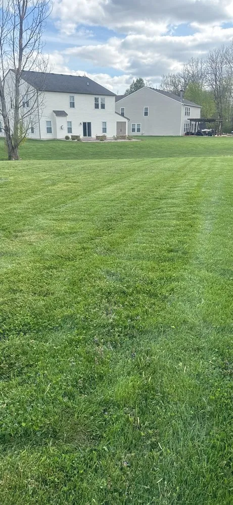 Expert outdoor landscaping in Indianapolis, IN by Rosales Lawn Care