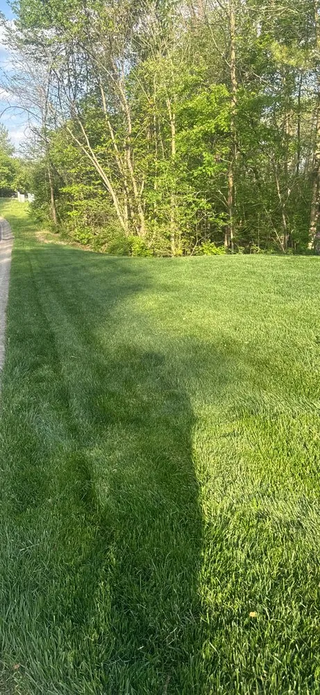 Affordable outdoor landscaping experts serving Indianapolis, IN - Rosales Lawn Care