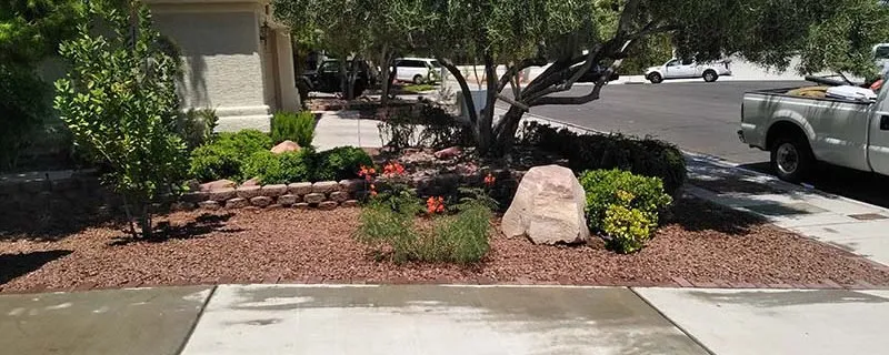 Trusted lawn care service for homes across Las Vegas, NV - Rosales Lawn Services