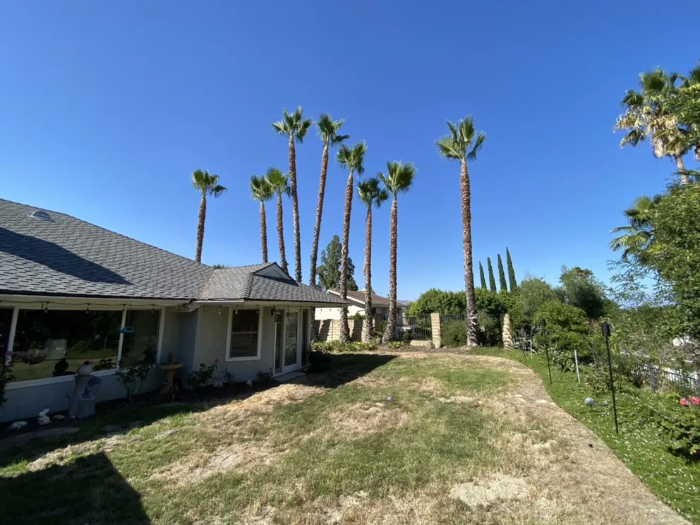 Local landscaping services near you in Encino, CA by Rosales Tree Care & Landscape Development