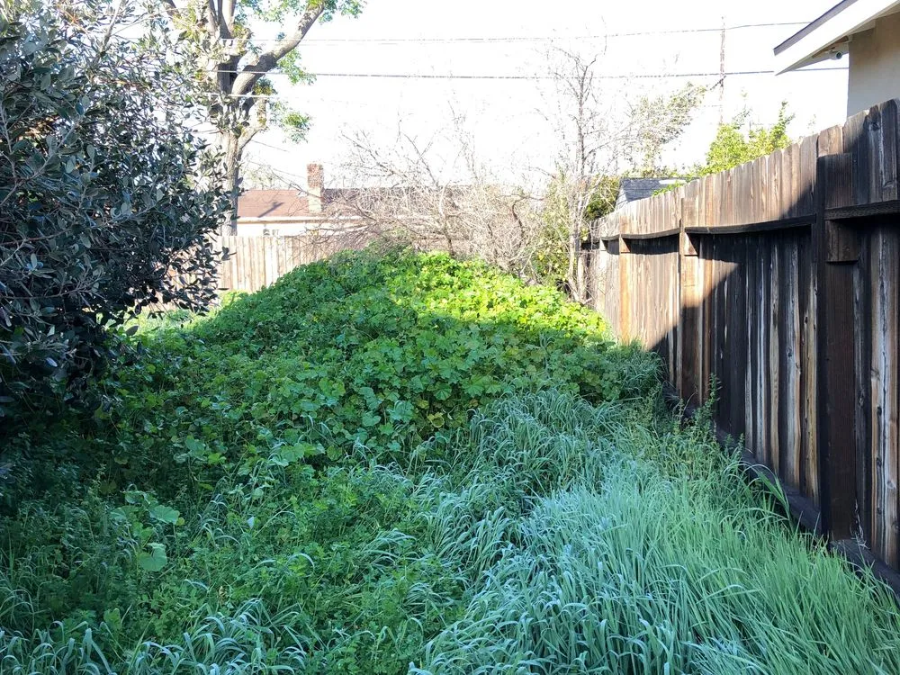 Reliable landscaping services experts serving Encino, CA - Rosales Tree Care & Landscape Development