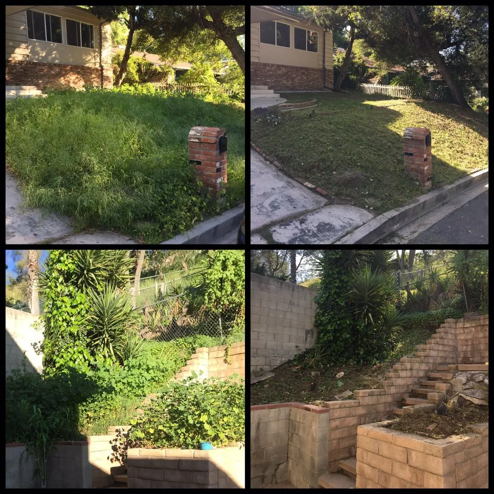 Top-rated lawn mowing service for residential properties in Encino, CA by Rosales Tree Care & Landscape Development