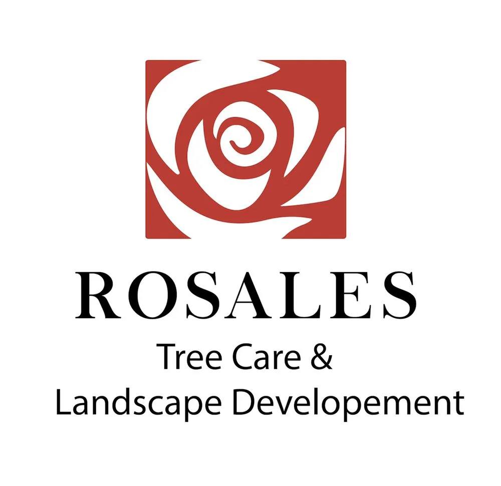 Trusted residential landscaping experts serving Encino, CA - Rosales Tree Care & Landscape Development