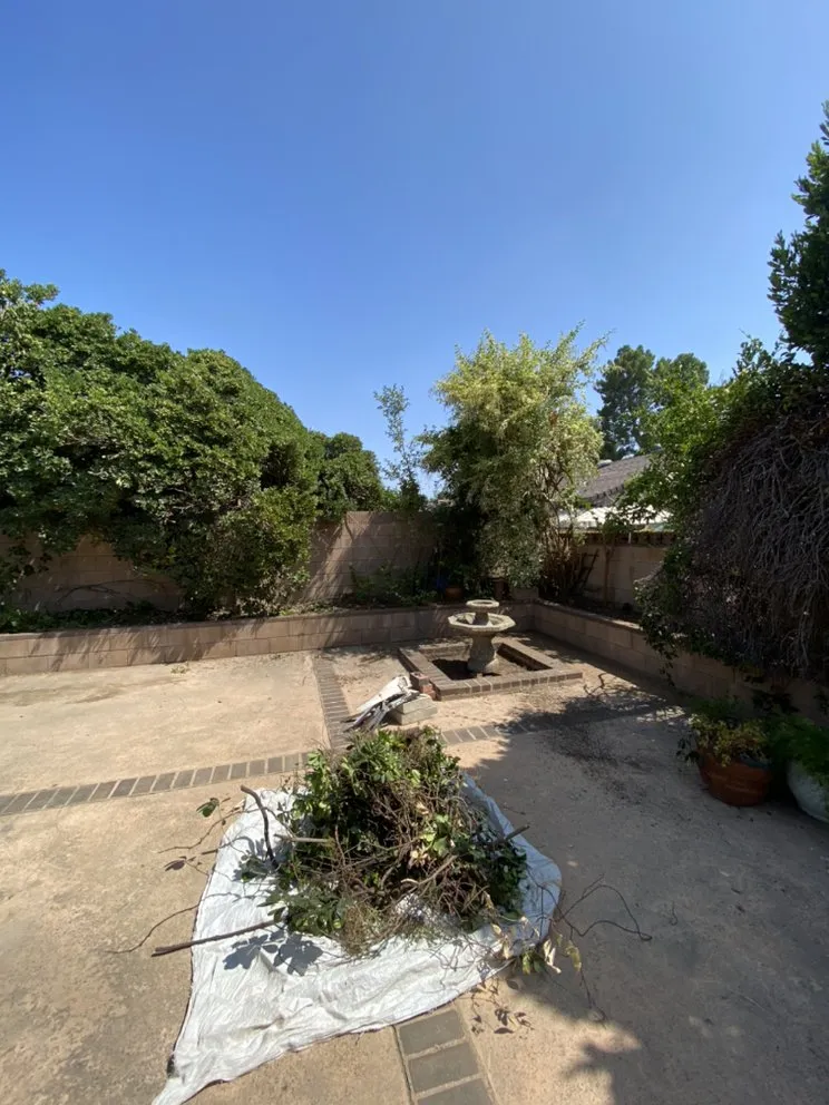 Local lawn care service in Encino, CA by Rosales Tree Care & Landscape Development