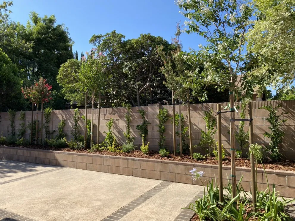 Custom residential landscaping near you in Encino, CA by Rosales Tree Care & Landscape Development