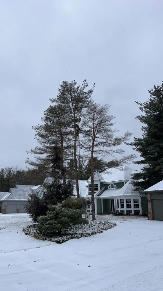 Trusted landscape installation in Pontiac, MI - Rosales Trees R Us