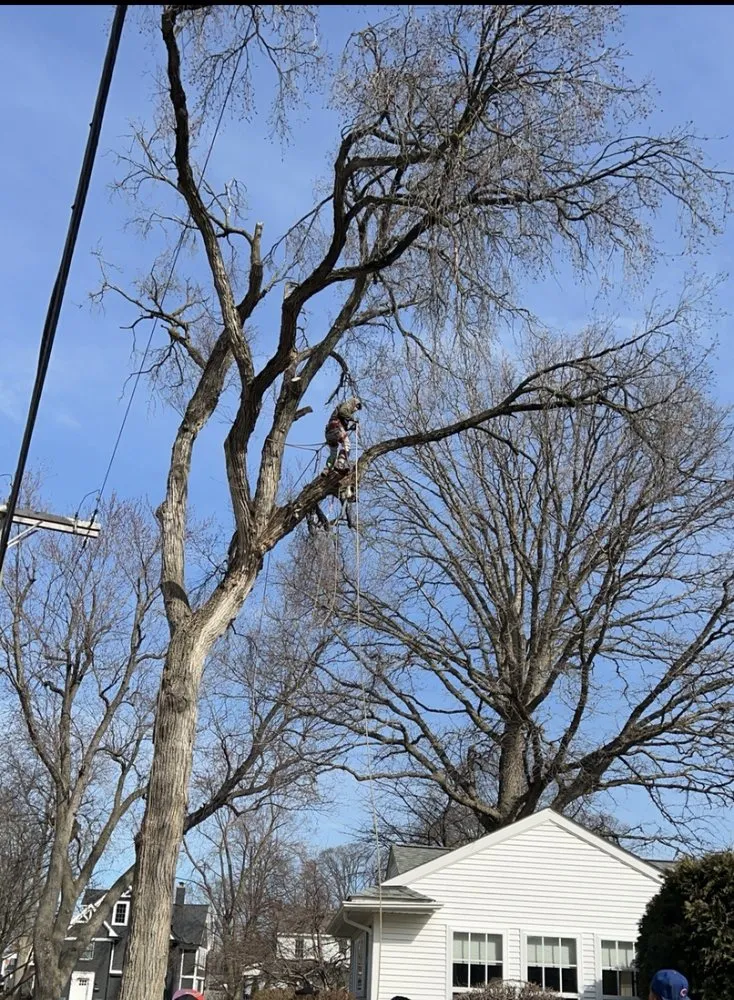 Expert lawn mowing service for homes in Pontiac, MI by Rosales Trees R Us