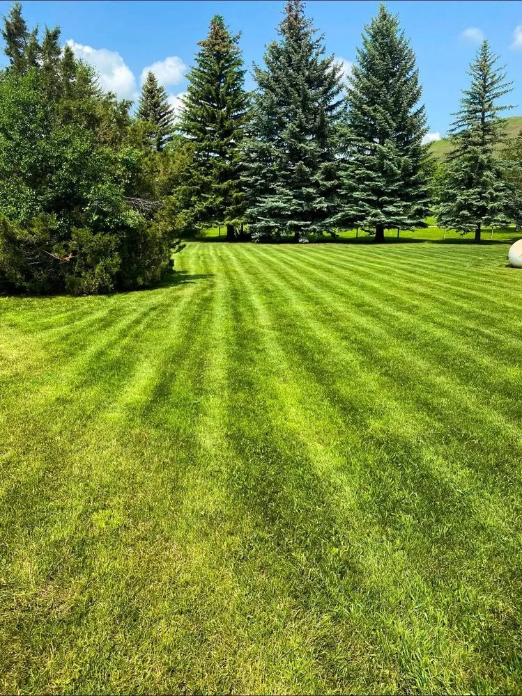 Local landscape installation in Sheridan, WY by Rosalez Lawn Care