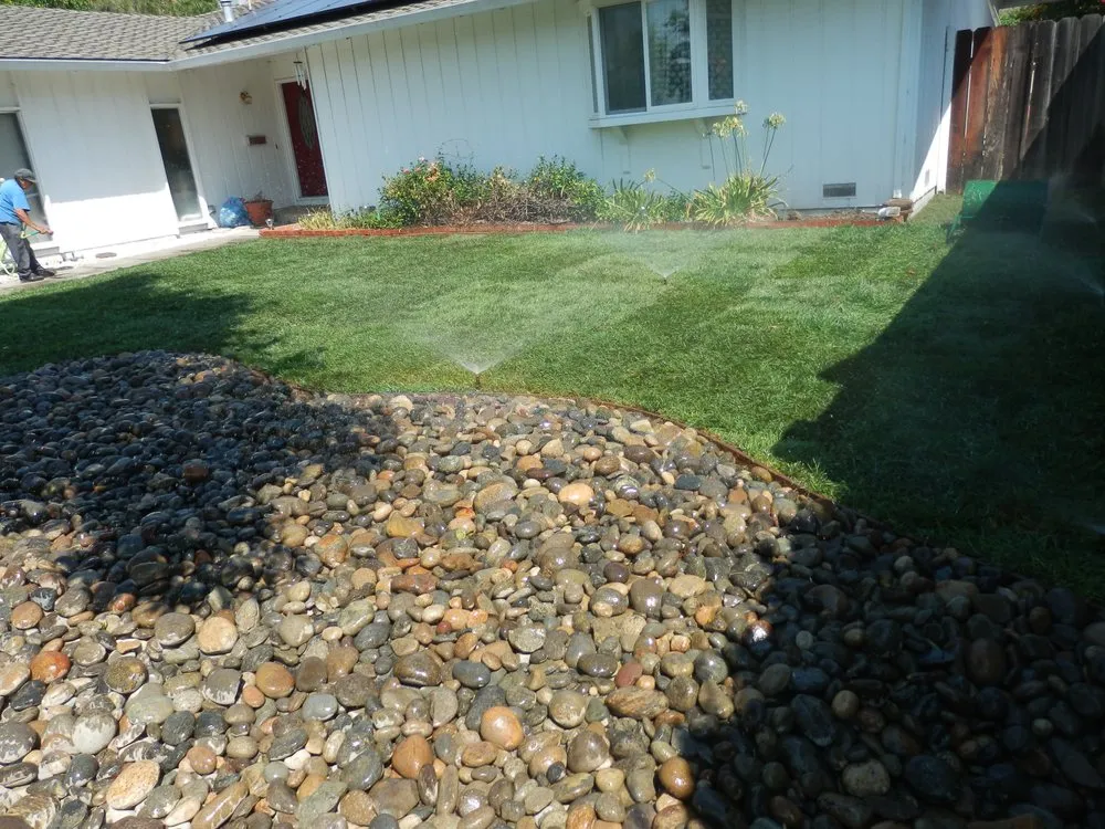 Affordable yard maintenance in Hayward, CA by Rosa's Garden and Landscape Service