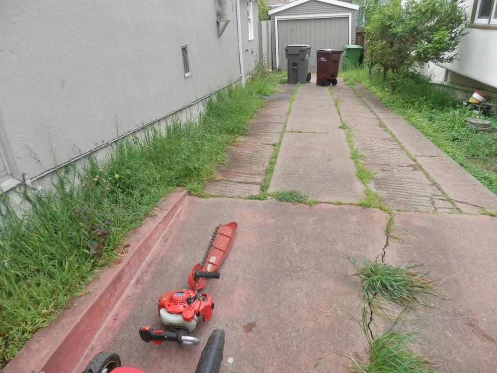 Affordable lawn mowing service in Hayward, CA - Rosa's Garden and Landscape Service