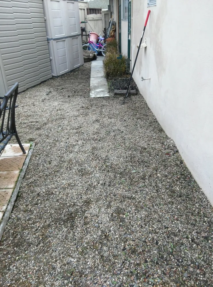 Professional yard cleanup service in Hayward, CA by Rosa's Garden and Landscape Service