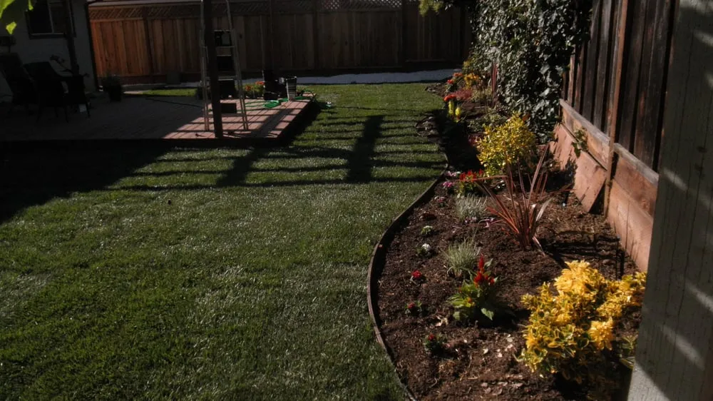 Reliable yard cleanup service for beautiful yards across Hayward, CA - Rosa's Garden and Landscape Service