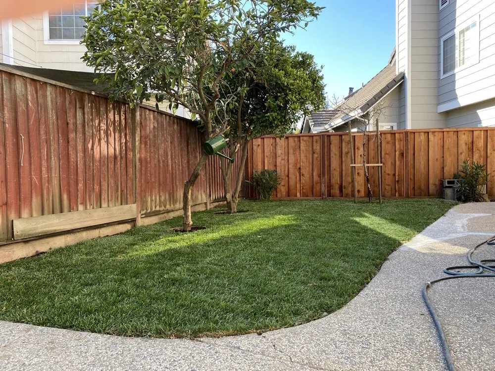 Custom yard cleanup service in Hayward, CA - Rosa's Garden and Landscape Service