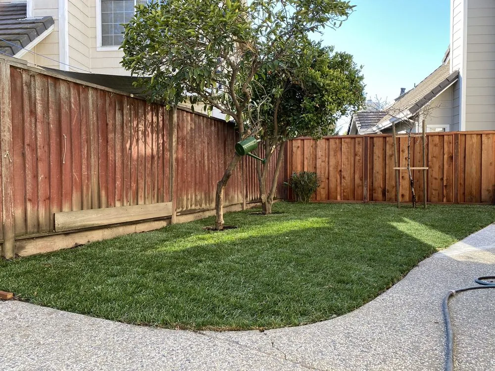 Custom lawn mowing service experts serving Hayward, CA - Rosa's Garden and Landscape Service