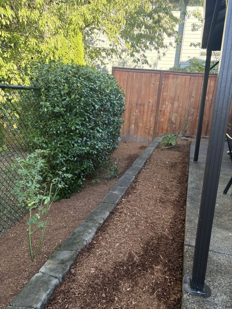 Professional yard maintenance for beautiful yards in Beaverton, OR by Rosas Hardscape Services