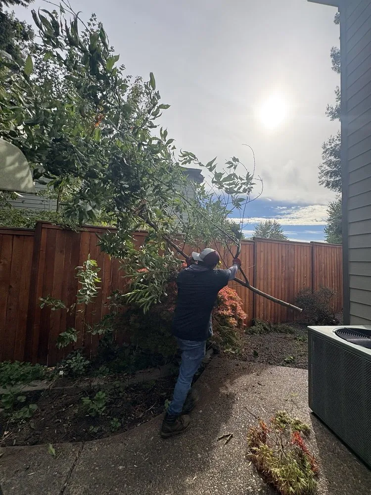 Affordable yard cleanup service experts serving Beaverton, OR - Rosas Hardscape Services