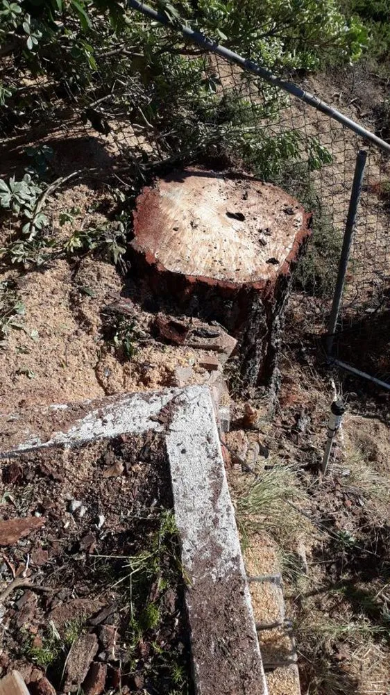 Top-rated landscaping services for outdoor upgrades in Los Angeles, CA by Rosas Landscape