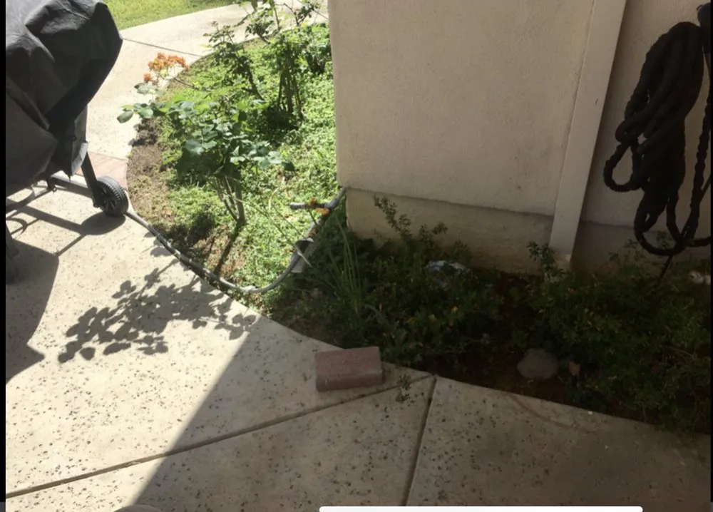 Expert lawn care service experts serving Los Angeles, CA - Rosas Landscape