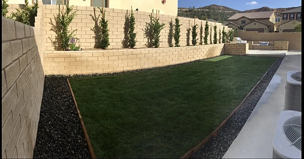 Affordable yard cleanup service for outdoor upgrades across Los Angeles, CA - Rosas Landscape