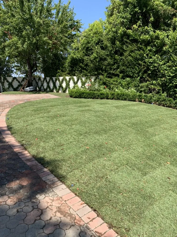 Local outdoor landscaping with custom design in Los Angeles, CA by Rosas Landscape