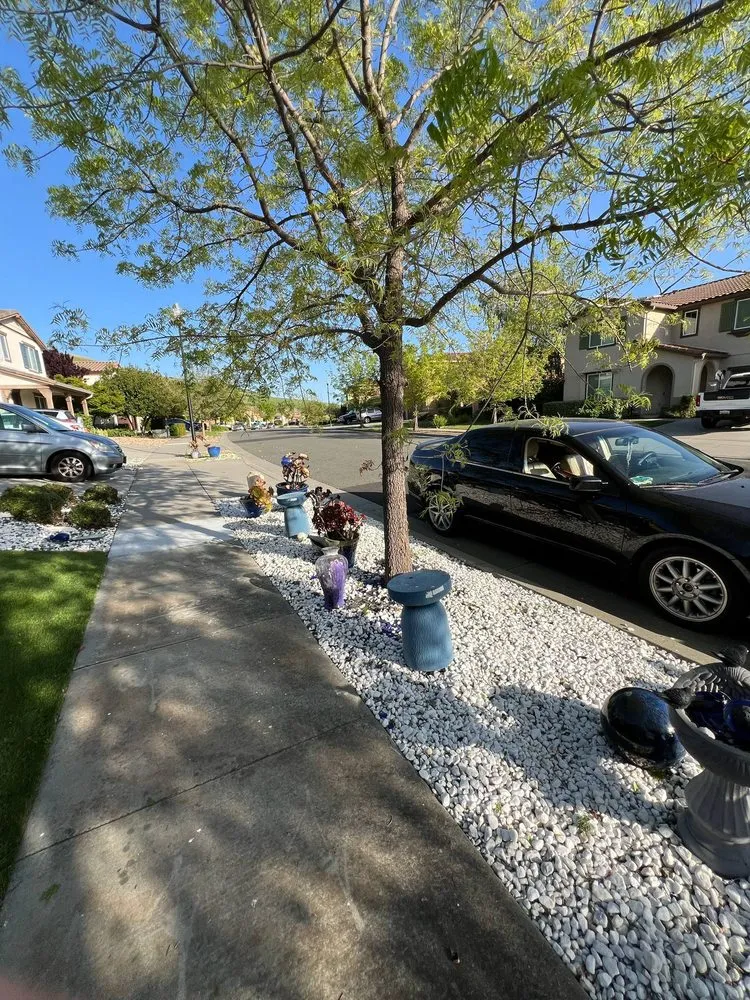 Professional lawn care service in Vacaville, CA by Rosas Landscape