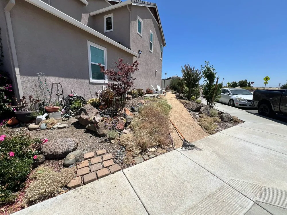 Expert yard cleanup service experts serving Vacaville, CA - Rosas Landscape