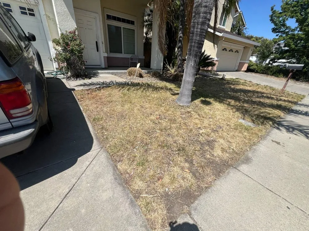 Professional landscape installation experts serving Vacaville, CA - Rosas Landscape