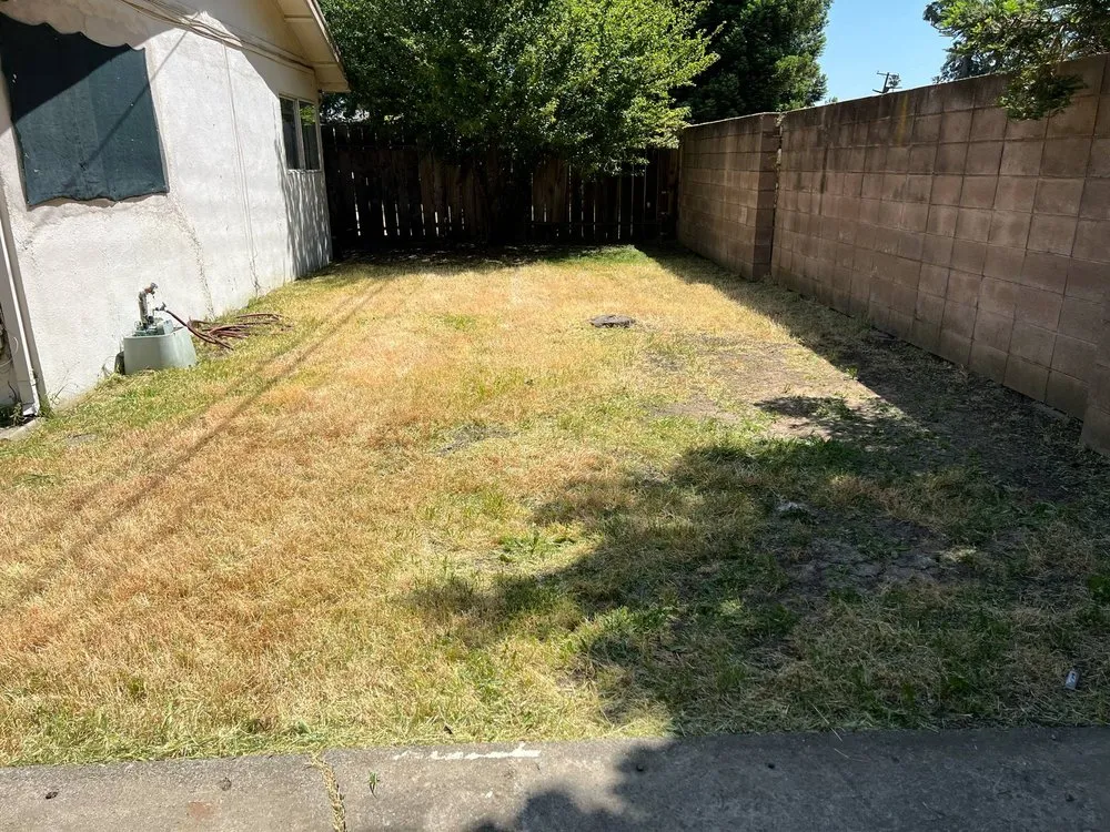 Top-rated lawn care service in Vacaville, CA - Rosas Landscape