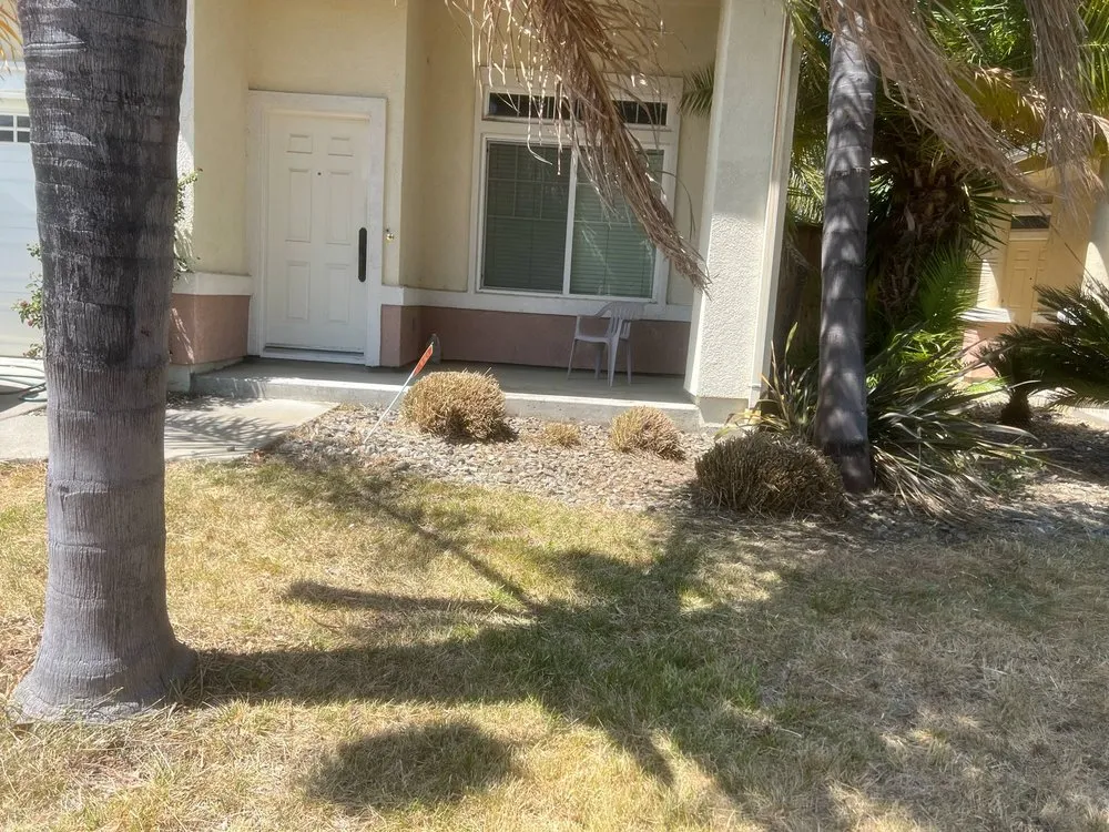 Local lawn care service in Vacaville, CA by Rosas Landscape