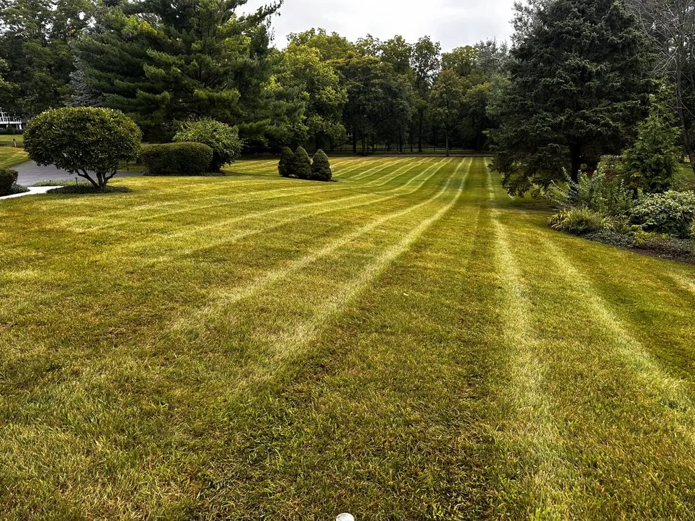 Affordable landscape design in Island Lake, IL - Rosas Landscaping & Ice Control