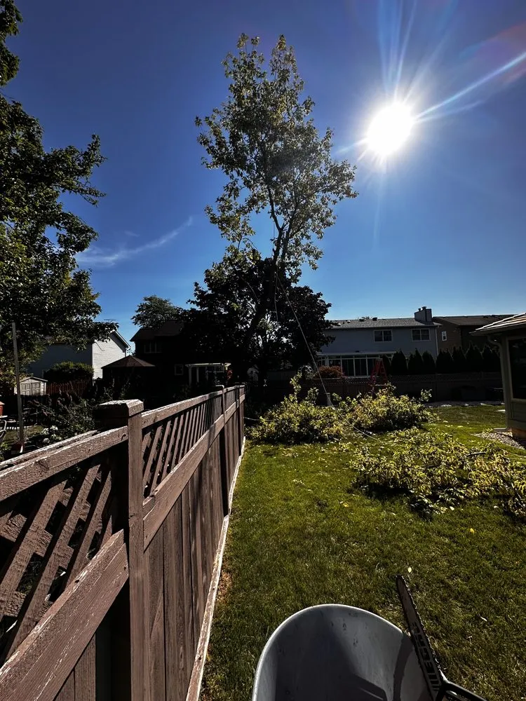 Top-rated landscaping services experts serving Island Lake, IL - Rosas Landscaping & Ice Control