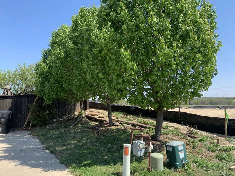 Local lawn mowing service for homes across Celina, TX - Rosas Landscaping & Stone Work