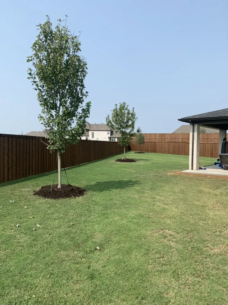 Professional landscape design in Celina, TX by Rosas Landscaping & Stone Work