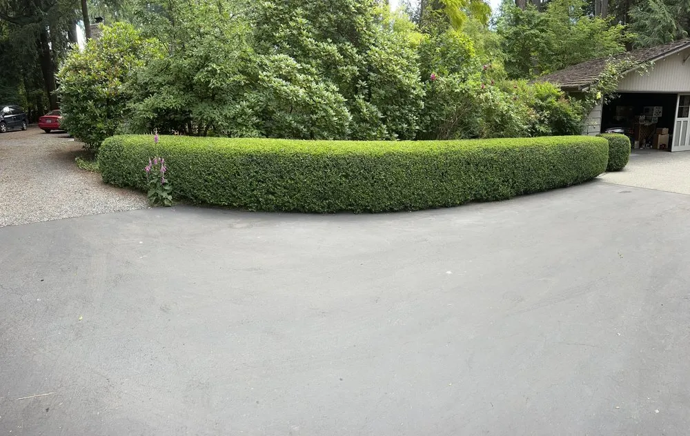 Custom yard maintenance for outdoor upgrades in Everett, WA by Rosas Landscaping and Construction