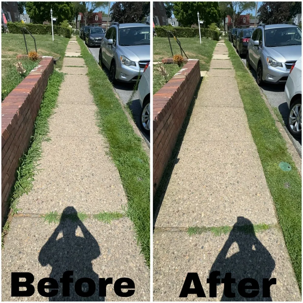 Custom lawn care service in Collingdale, PA by Rosa’s Landscaping