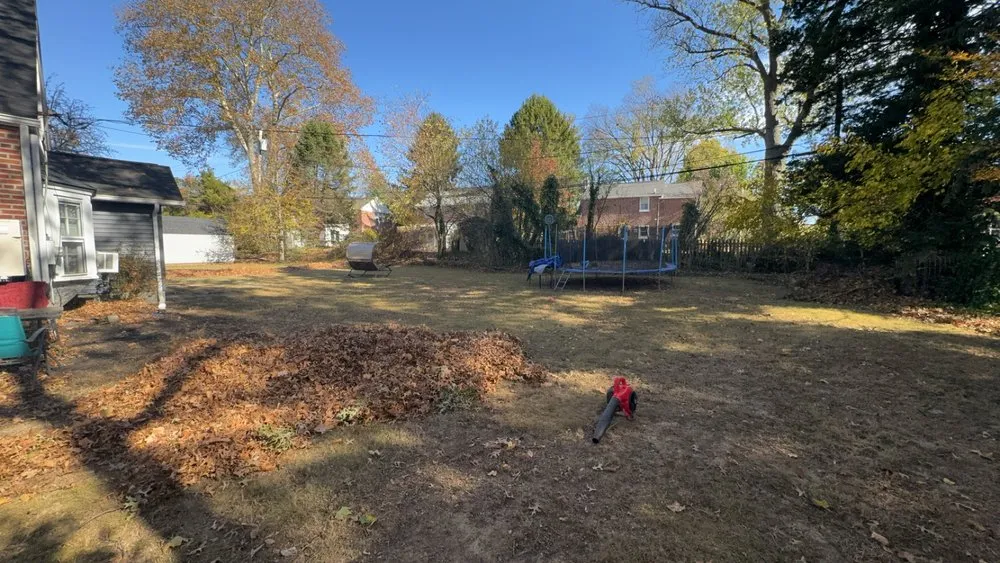 Expert yard cleanup service in Collingdale, PA - Rosa’s Landscaping