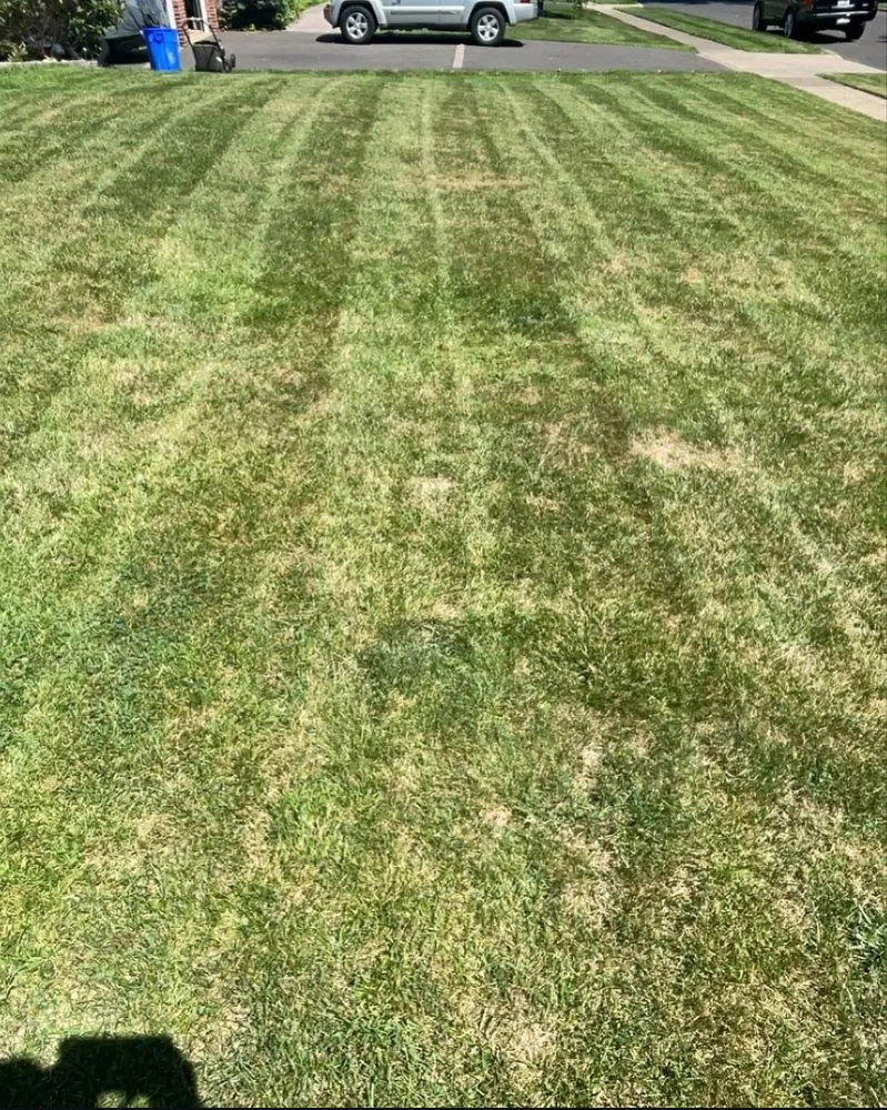 Trusted yard maintenance for residential properties across Collingdale, PA - Rosa’s Landscaping