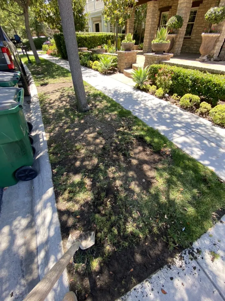 Local yard maintenance in Dana Point, CA by Rosas Landscaping Company