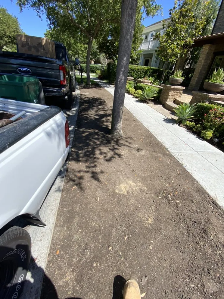 Top-rated lawn care service experts serving Dana Point, CA - Rosas Landscaping Company