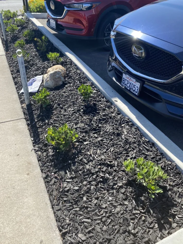 Professional landscaping services experts serving Dana Point, CA - Rosas Landscaping Company